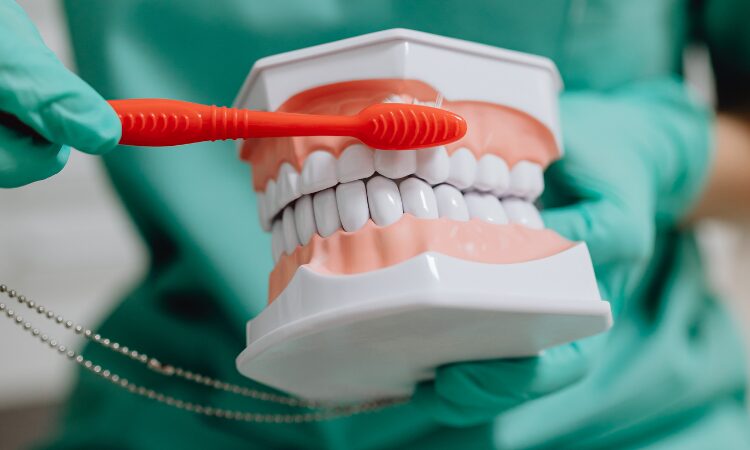 Understanding the causes of bleeding gums is the first step to preventing further damage and protecting your overall well-being.